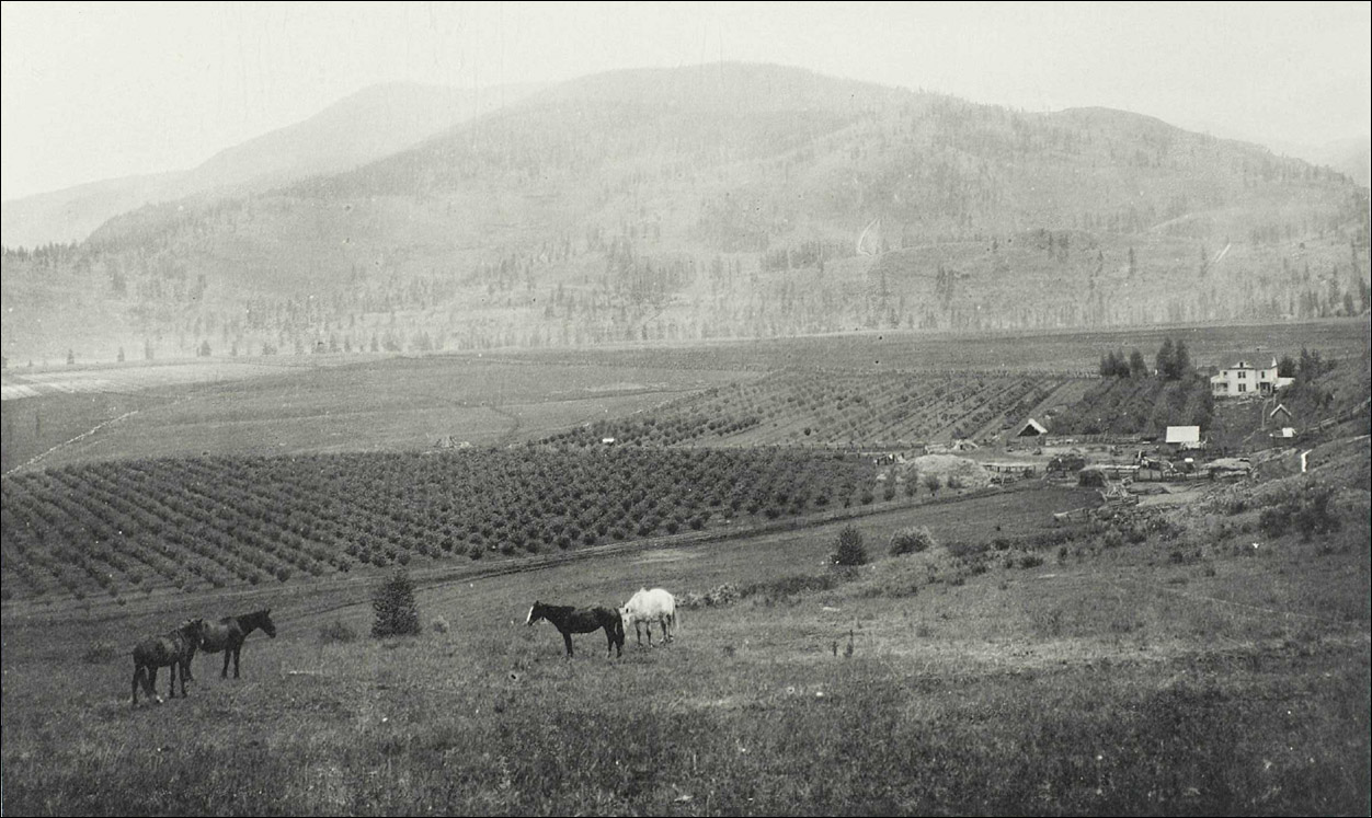 Carson Orchards masquerading as Kootenay Valley